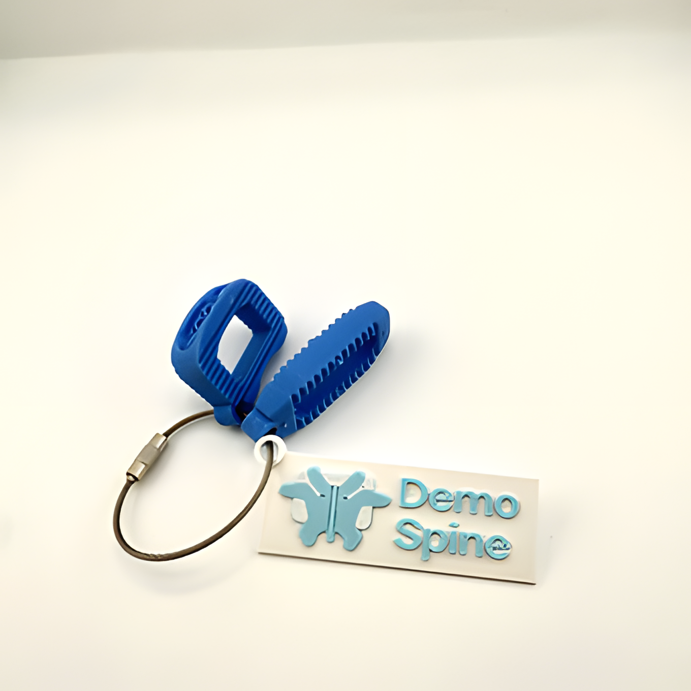 Interbody Keychain
