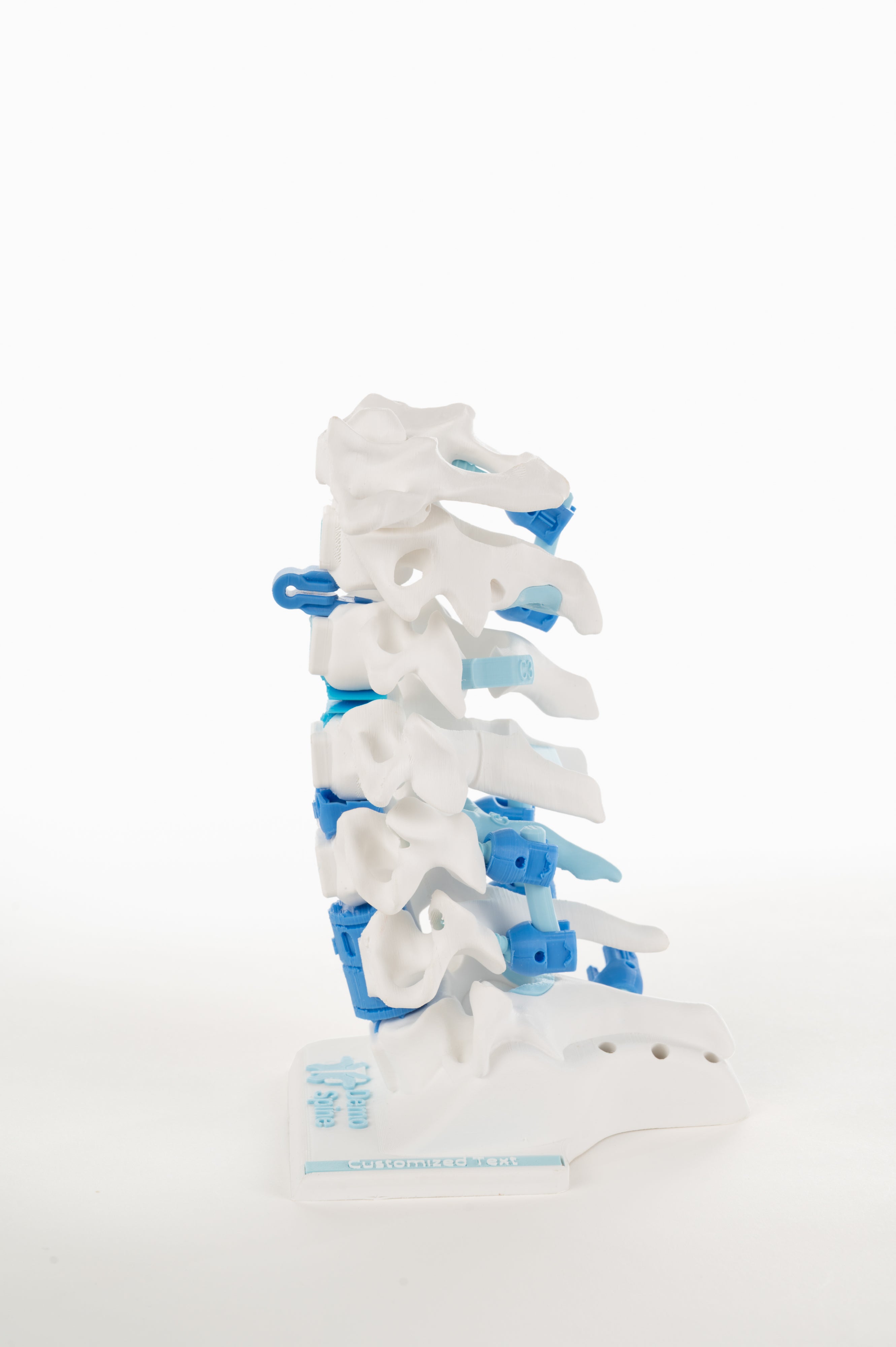 Cervical Surgery Model