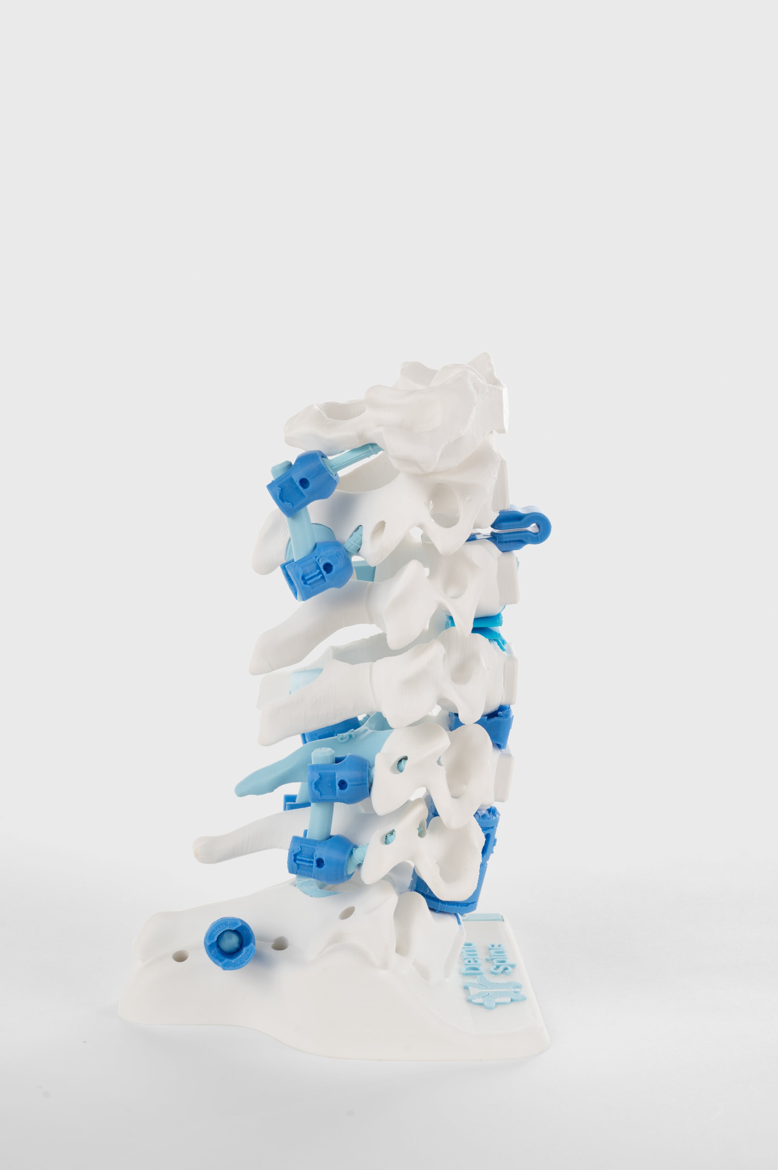 Cervical Surgery Model