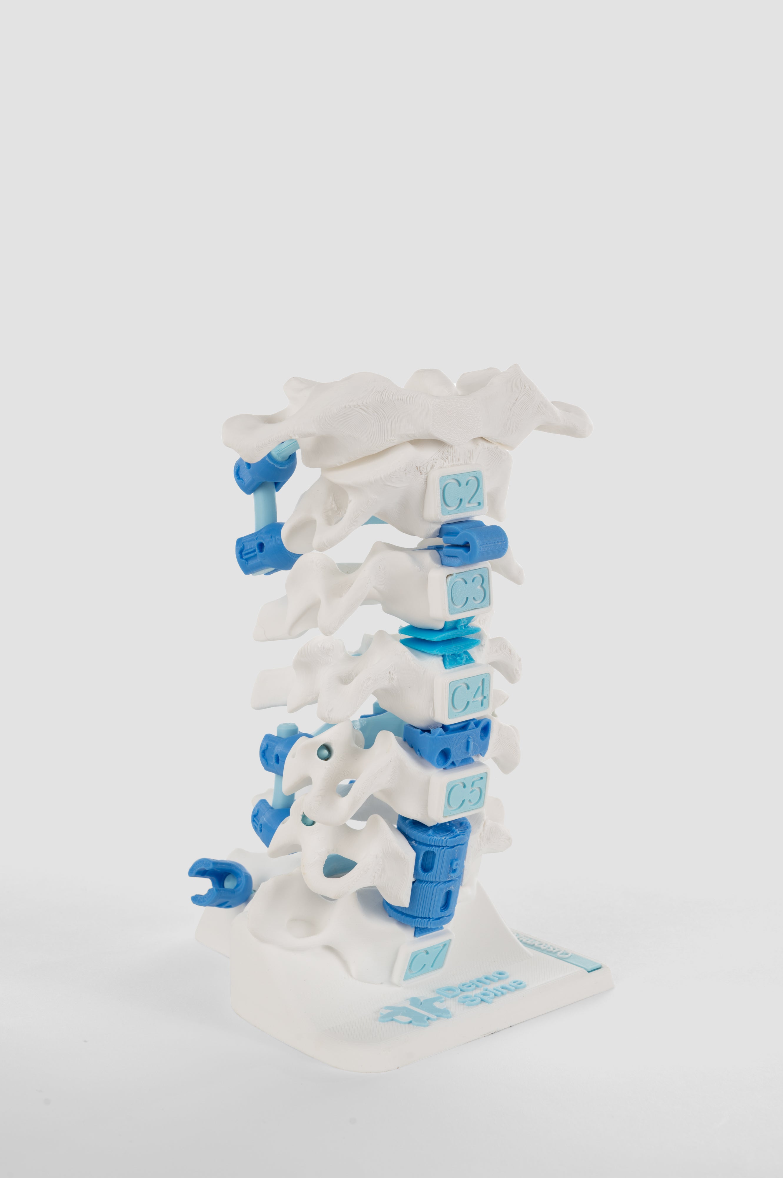 Cervical Surgery Model