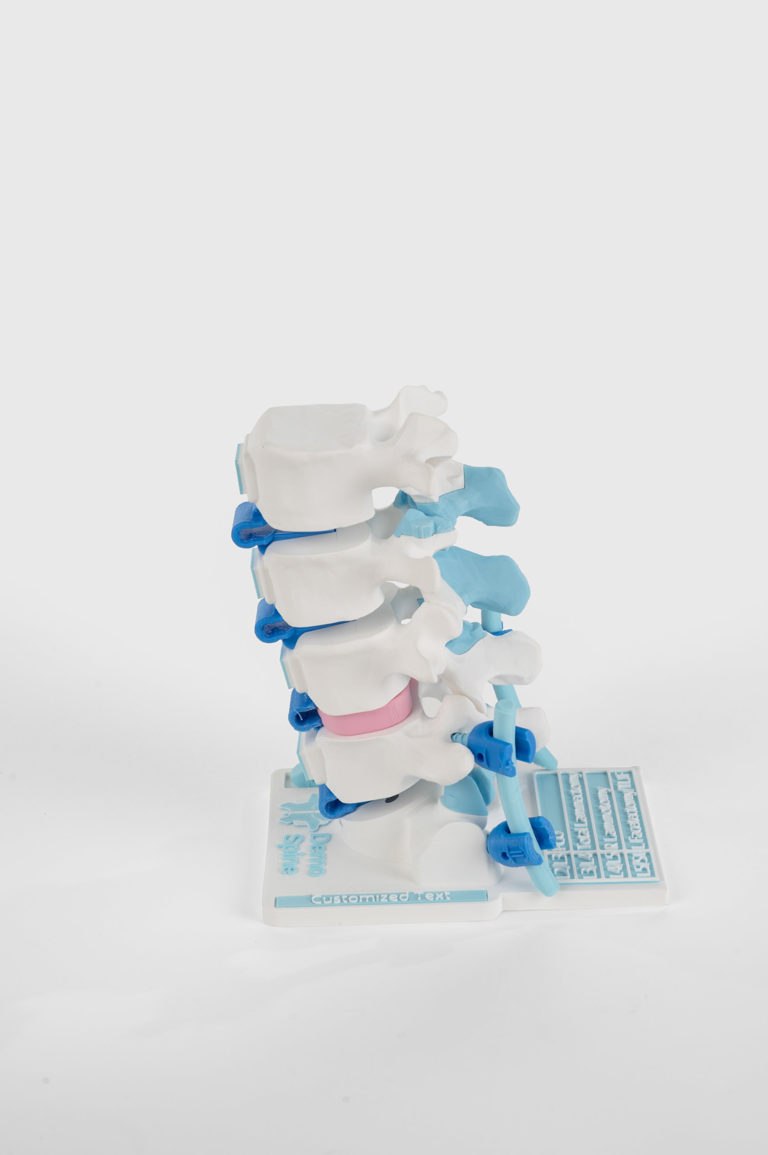 Posterior Lumbar Surgery Model