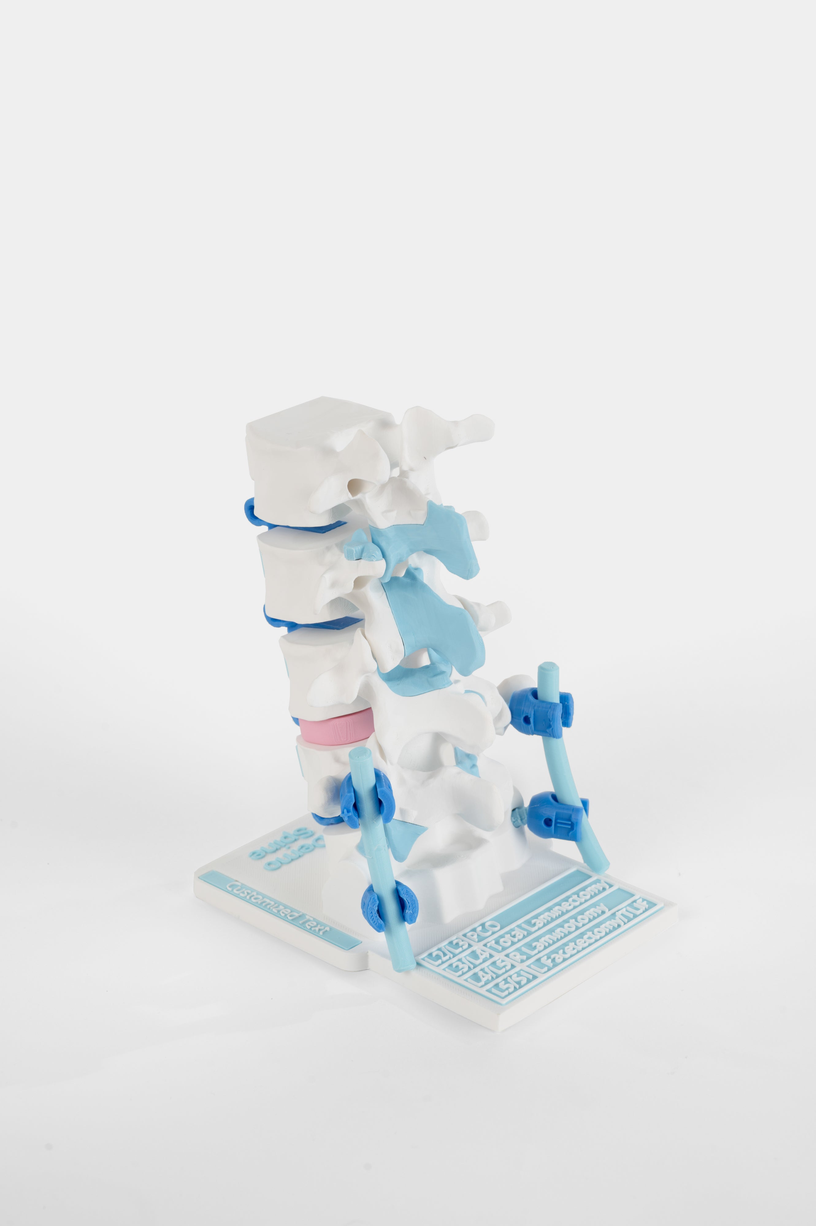 Posterior Lumbar Surgery Model