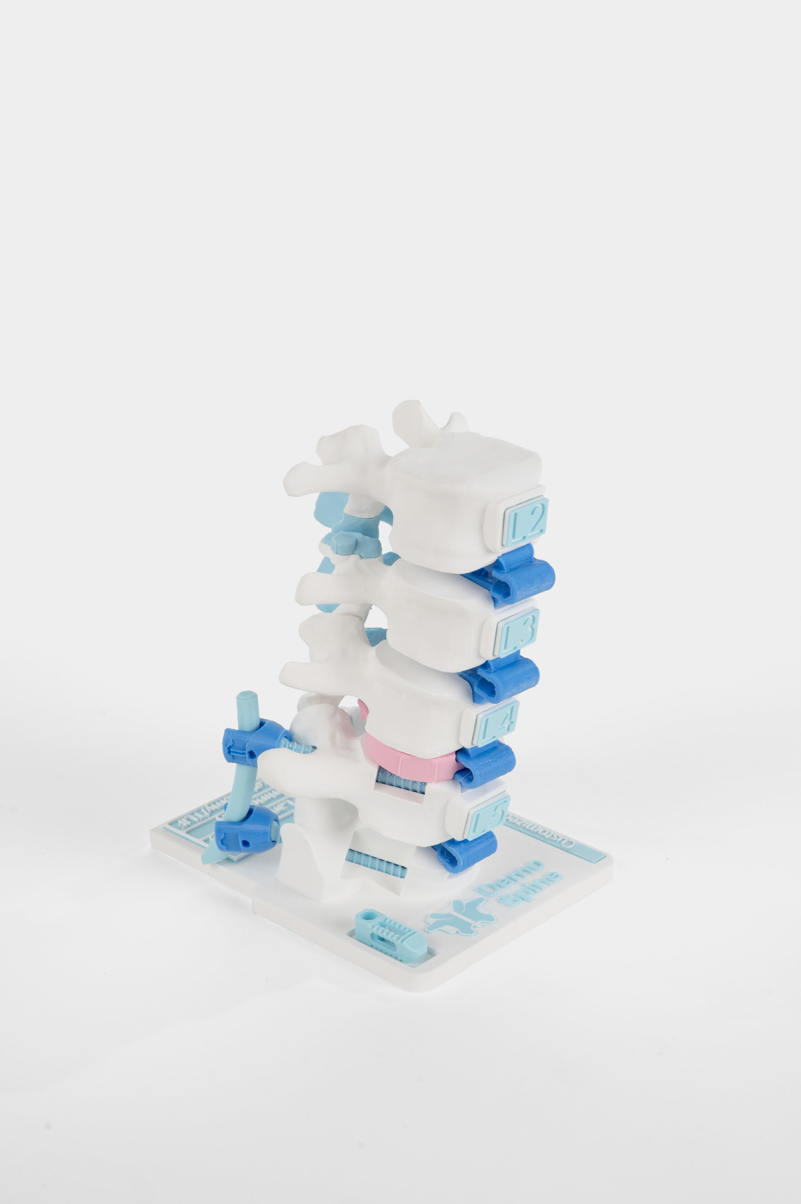 Posterior Lumbar Surgery Model