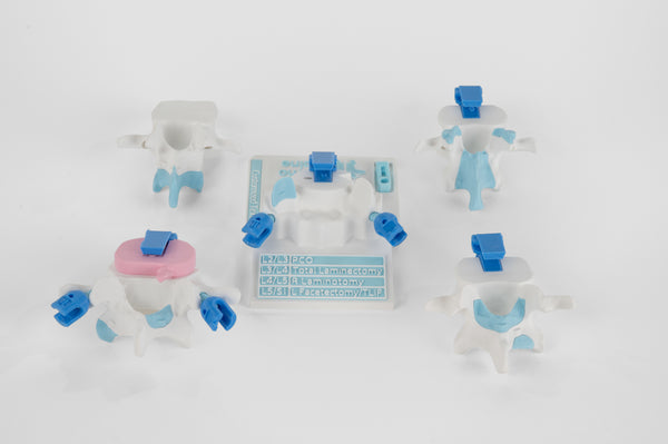 Individual Cervical Vertebrae Components
