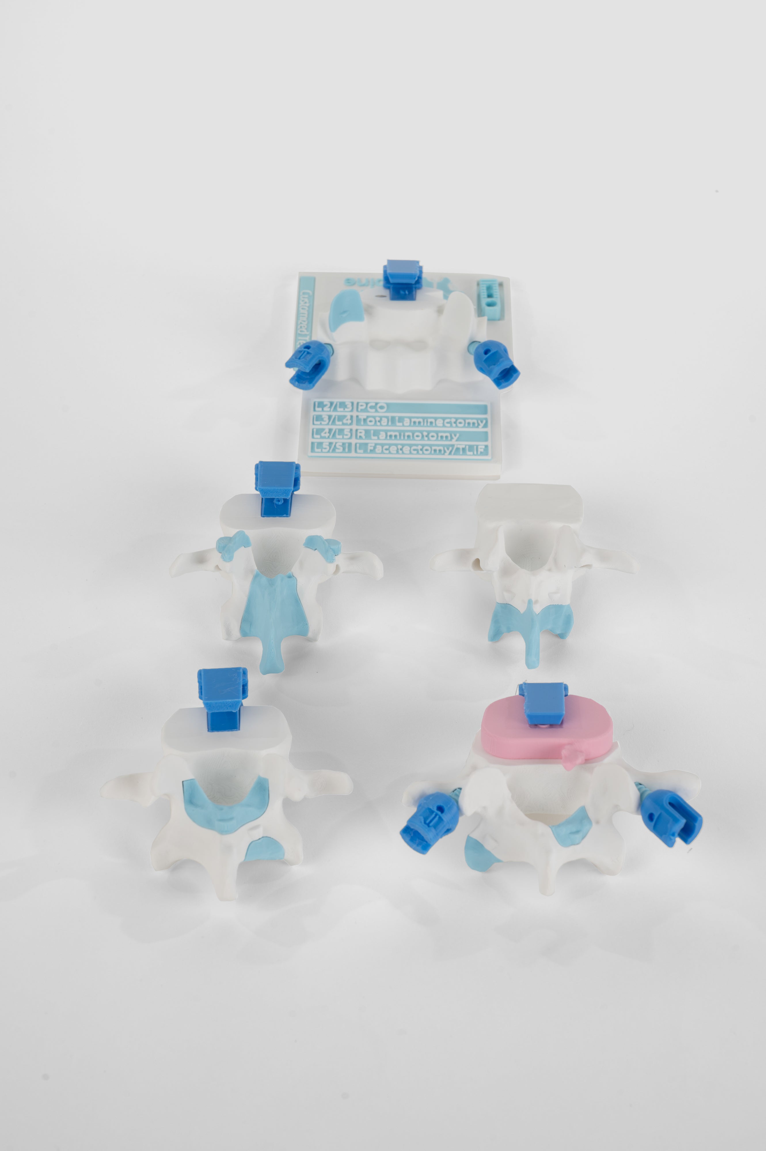 Posterior Lumbar Surgery Model – Demospine