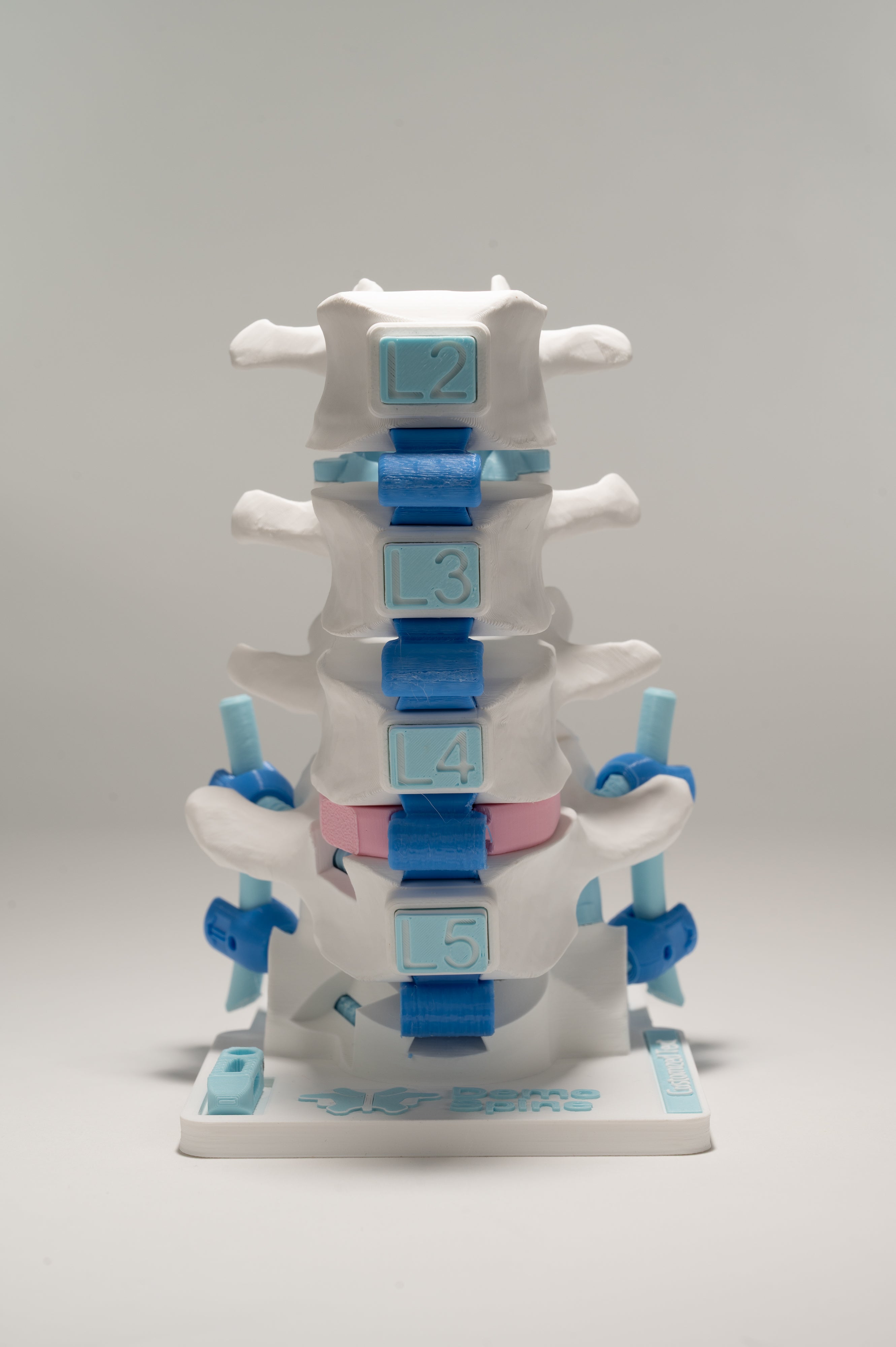 Posterior Lumbar Surgery Model